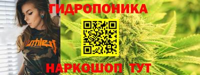 мет Новозыбков