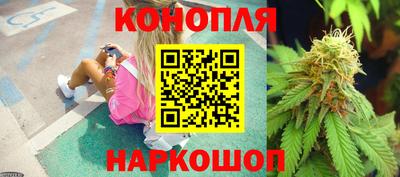 прущие крисы Новокубанск