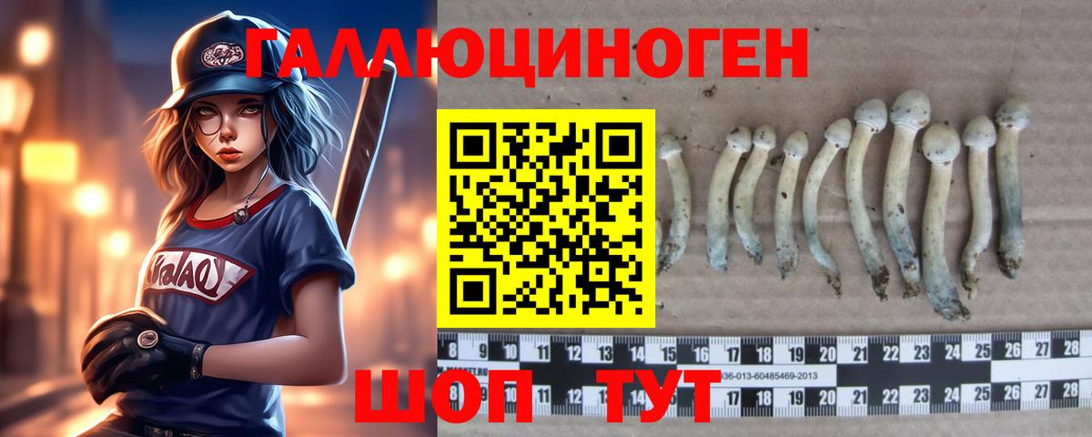 Тольятти  Галлюциногенные грибы Cubensis  Вход с VPN 